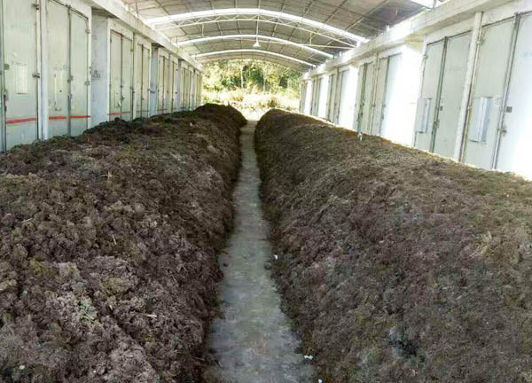 雞糞堆肥發(fā)酵技術(shù)要點