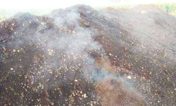 豬糞堆肥發酵技術要點