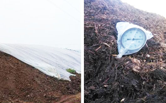 豬糞堆肥發酵技術要點