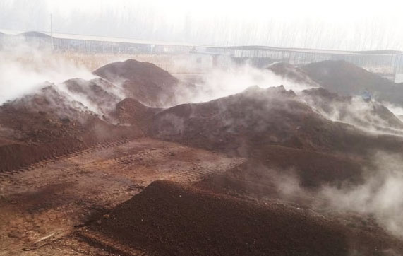 羊糞堆肥發(fā)酵技術(shù)要點(diǎn)