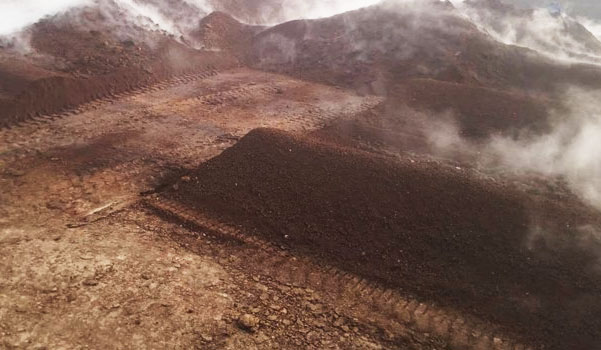 羊糞發(fā)酵過程分為哪幾個階段？