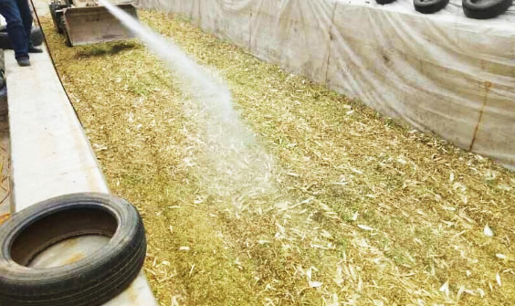 玉米秸稈能發(fā)酵做飼料嗎？