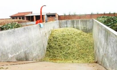 秸稈堆肥發酵具體有哪些作用呢？