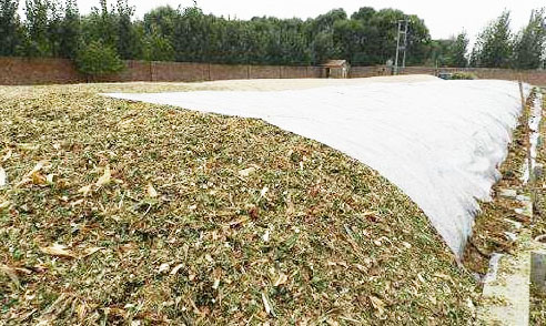 玉米和小麥堆肥發(fā)酵技術(shù)區(qū)別有哪些