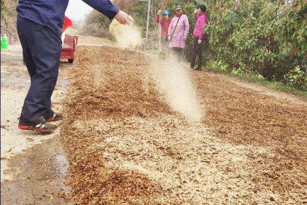 堆肥發(fā)酵過程的兩個(gè)階段