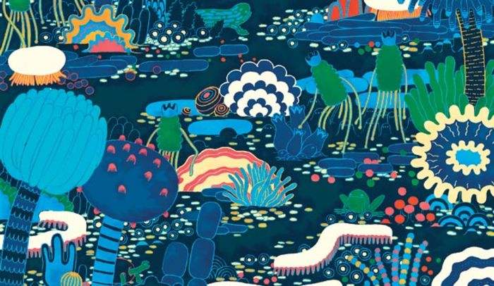 膠凍樣芽孢桿菌在農(nóng)業(yè)種植上有哪些作用