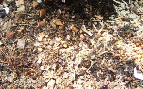 中藥渣如何發酵做有機肥料