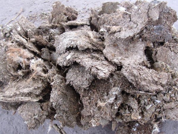 干雞糞用做肥料時有哪些處理方法