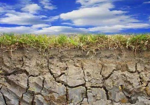 如何應對重茬等土傳病害？