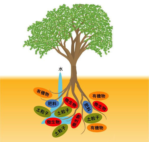 如何應對重茬等土傳病害？