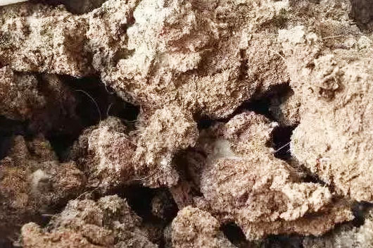 豬糞如何發酵腐熟？