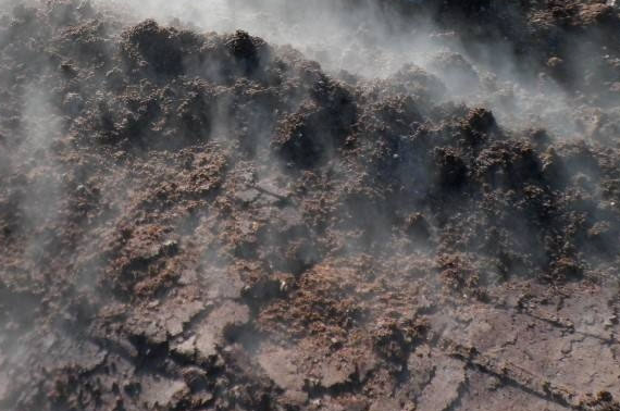 發酵豬糞做飼料的詳細方法