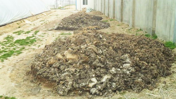 豬糞發(fā)酵方法詳解