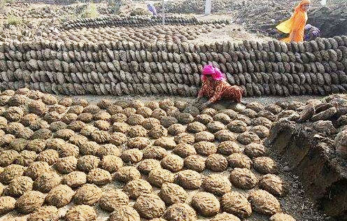 牛糞通過發(fā)酵制作的有機(jī)肥詳細(xì)步驟