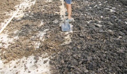 發(fā)酵雞糞制作有機肥步驟與注意事項