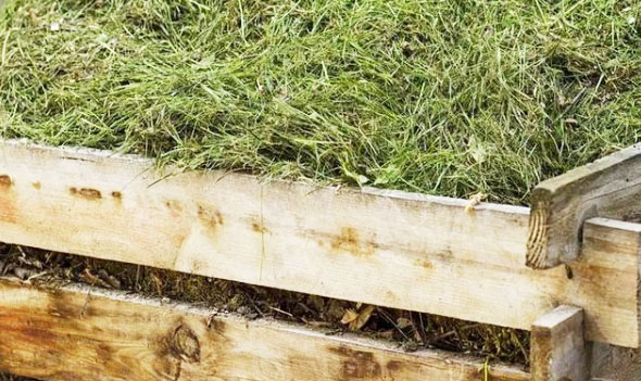 自制堆肥發(fā)酵中有哪些常見錯誤