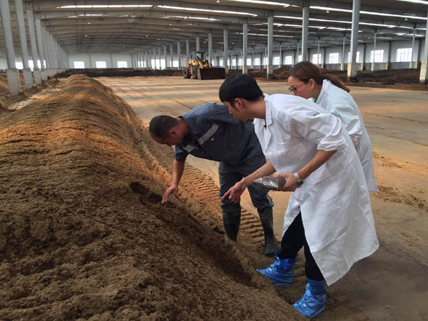 豬糞怎么通過發(fā)酵處理成有機肥？