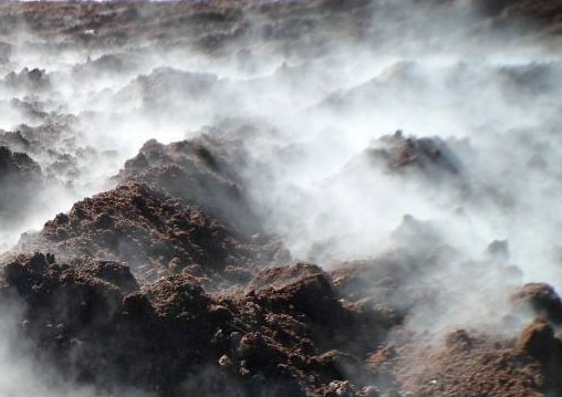 有機肥發酵時需要注意哪些？