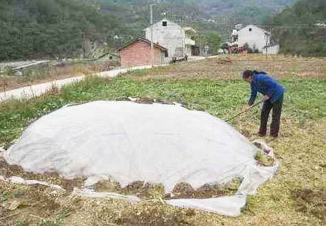 厭氧堆肥發(fā)酵技術(shù)