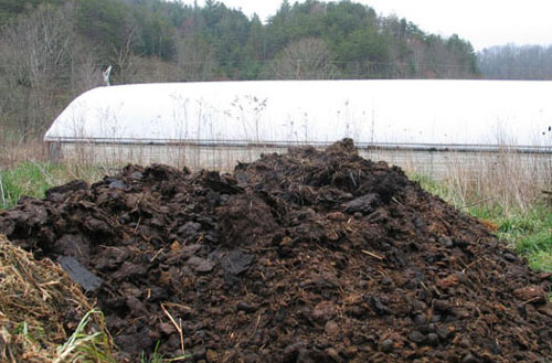 牛糞的有效發(fā)酵方法