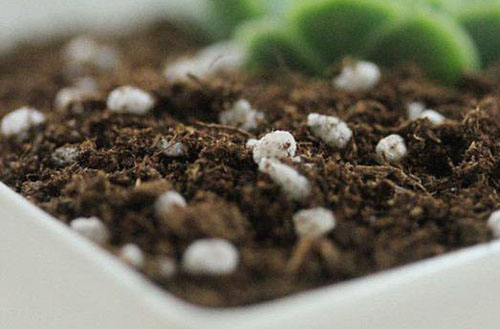 購買的成袋有機肥發霉了還能用嗎？