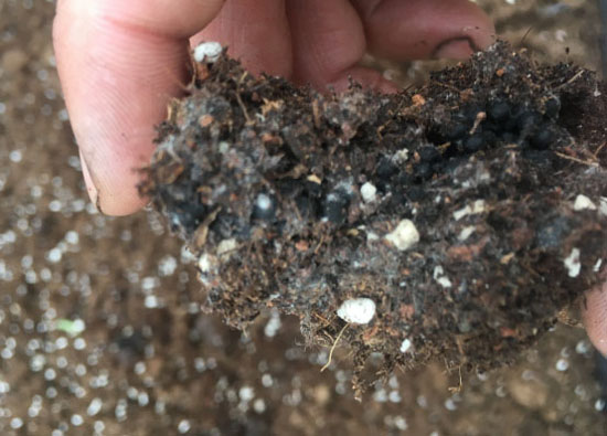 去年買的生物有機肥“長毛”是過期變質了嗎？