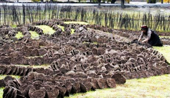 牛糞如何發(fā)酵腐熟？