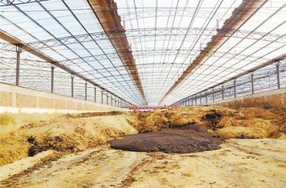 簡單的牛糞腐熟方法