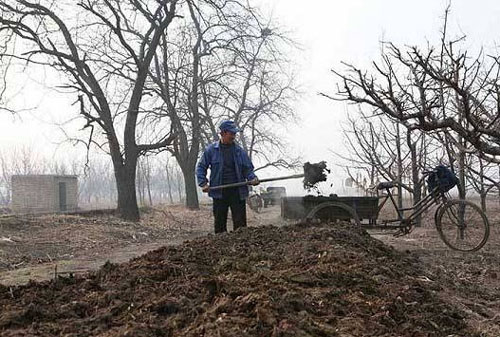 牛糞發酵有機肥的制作方法