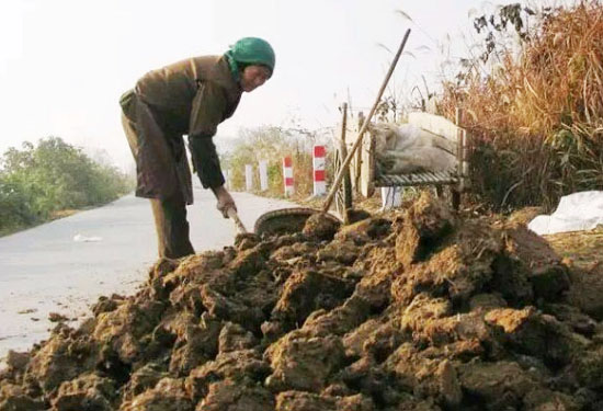 牛糞堆肥發酵的操作方法