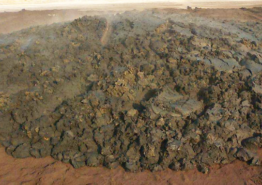 如何通過發酵制作牛糞有機肥