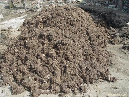 生物菌發(fā)酵牛糞做有機(jī)肥有哪些好處？