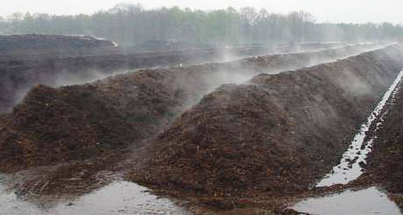 豬糞發酵有機肥處理方法