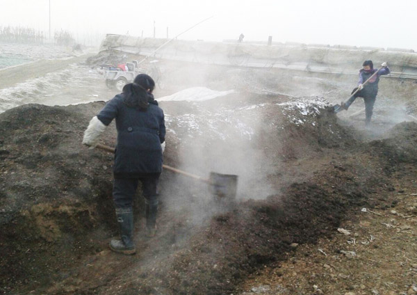 豬糞發(fā)酵有機(jī)肥的步驟與注意事項(xiàng)