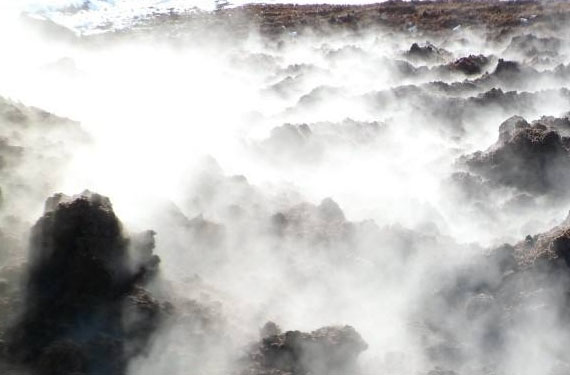 如何發酵豬糞做有機肥