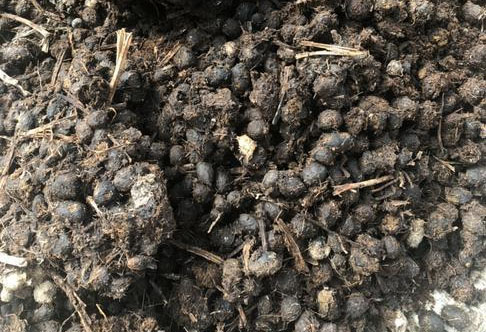 發酵后的羊糞有機肥有哪些優點？