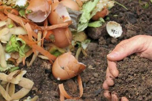 有機(jī)肥發(fā)酵方法哪個(gè)好，如何選擇？