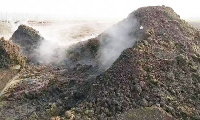 豬糞有機肥用哪種發酵方法好
