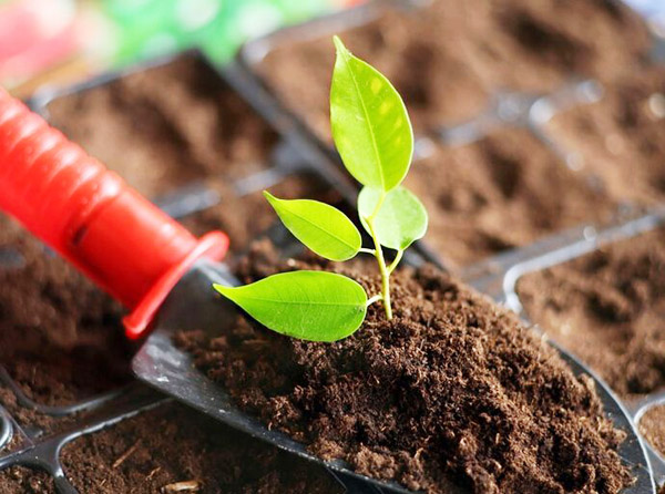 幾種常用的雞糞發(fā)酵有機(jī)肥方法