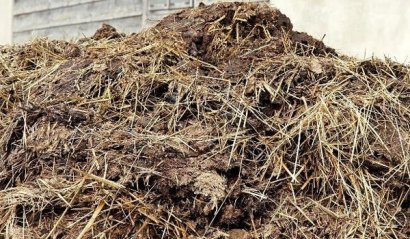 雞糞發(fā)酵過(guò)程中使用發(fā)酵劑會(huì)增加成本嗎