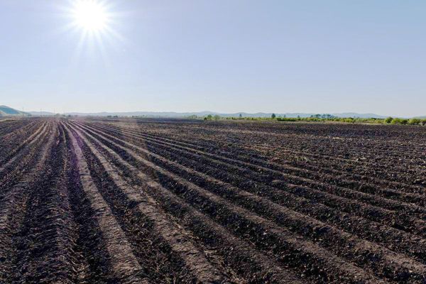 發酵一噸雞糞需要多少雞糞發酵劑？