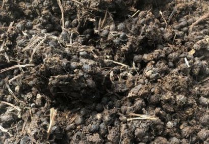 羊糞發酵制作有機肥需要多長時間？