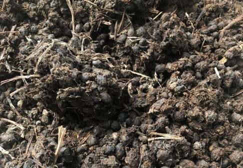 羊糞發酵制作有機肥需要多長時間？