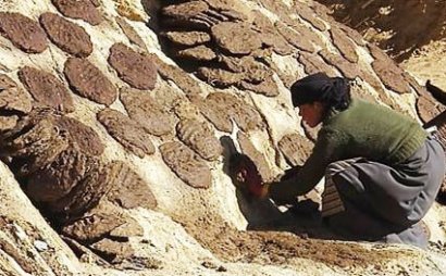 牛糞堆肥發酵該怎么進行？