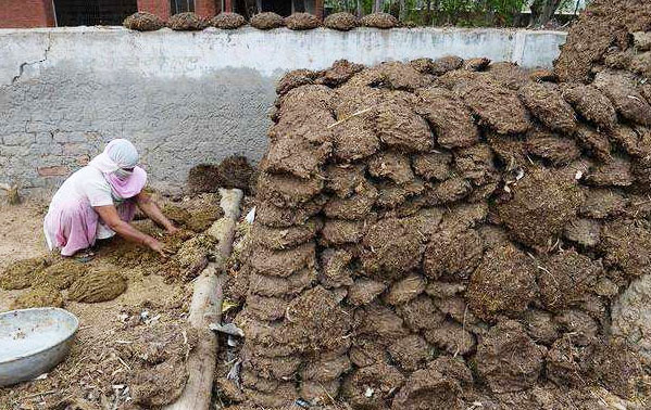 牛糞堆肥發酵該怎么進行？