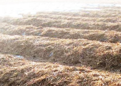 秸稈肥發酵過程中需要注意哪些？