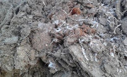 干雞糞如何發(fā)酵腐熟，發(fā)酵后如何使用？