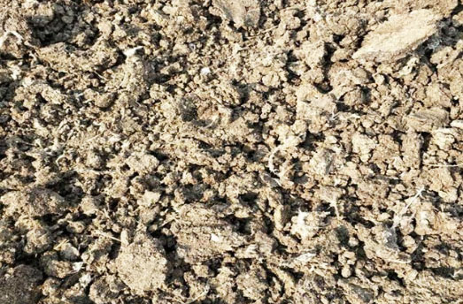 雞糞有機肥發酵過程中需要多長時間？