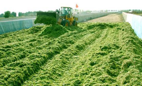 秸稈經過發酵都有哪些用途