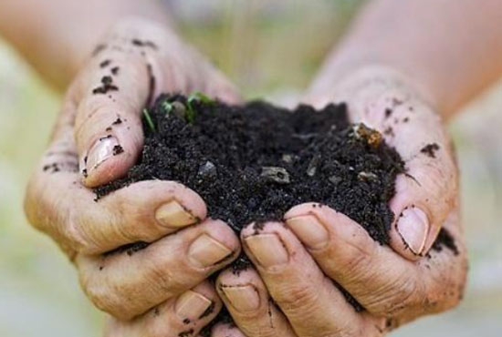 發(fā)酵豬糞有機(jī)肥的具體操作流程與好處